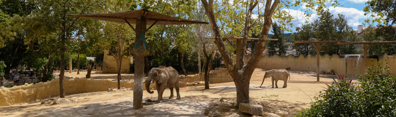 Zoo Imagem