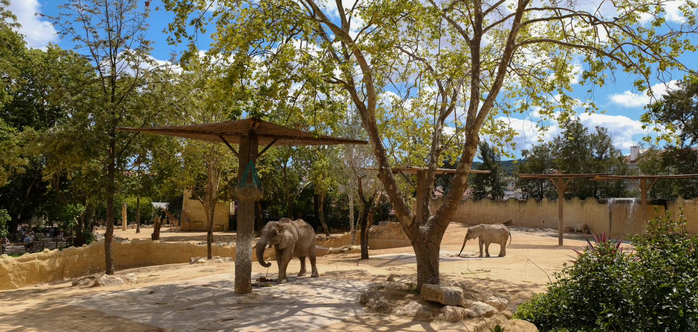 Zoo Imagem